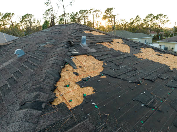 Best Asphalt Shingle Roofing  in West Hamburg, PA